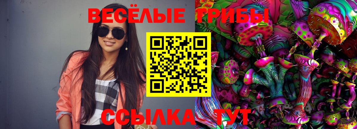 Псилоцибиновые грибы мухоморы Истра